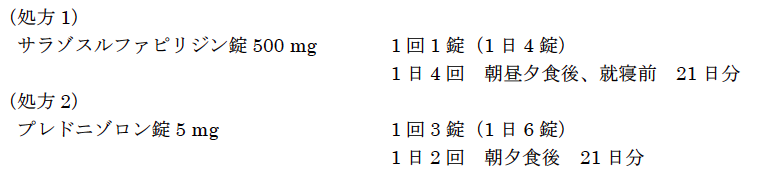 解説画像